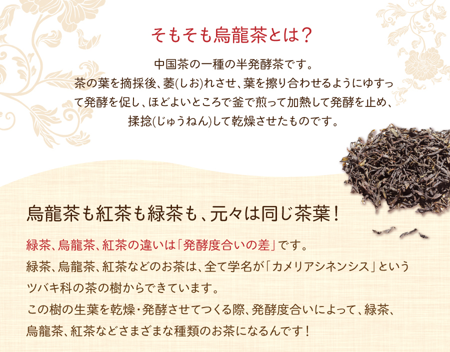そもそも烏龍茶とは?中国茶の一種の半発酵茶です。