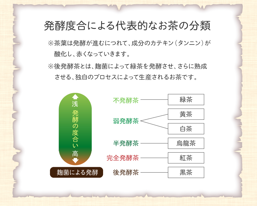 発酵度合による代表的なお茶の分類