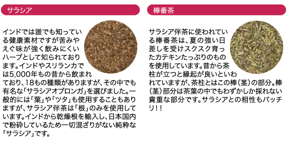 サラシア伴茶(サラシア・棒番茶)