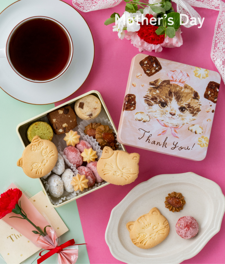 こねこのこねこねクッキーセット