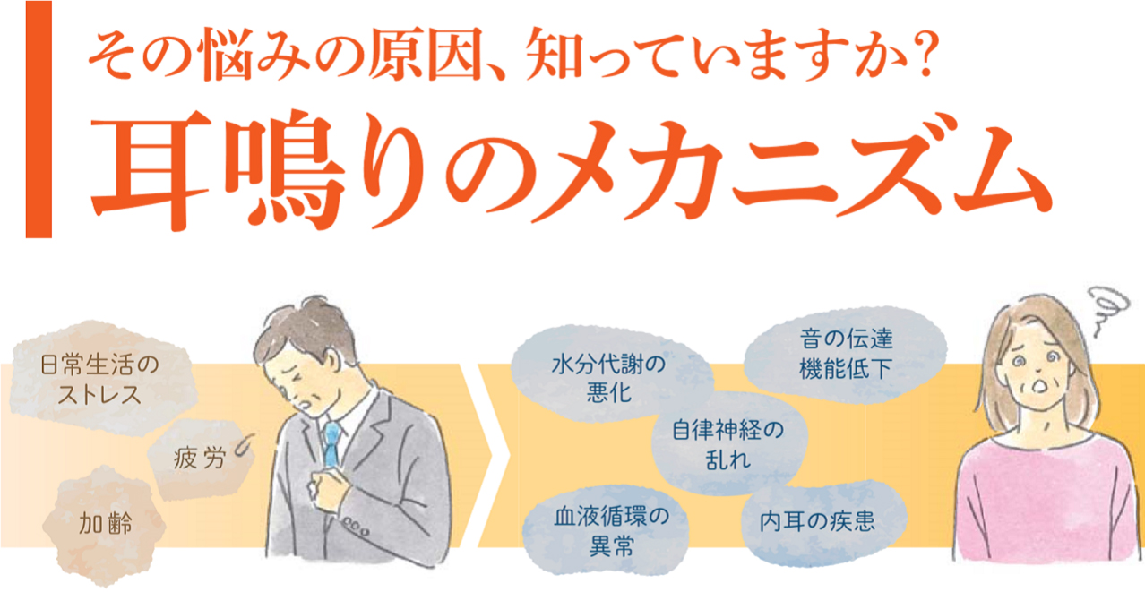 その悩みの原因知っていますか？耳鳴りのメカニズム 日常生活のストレス　疲労　加齢　水分代謝の悪化　音の伝達機能の低下　自律神経の乱れ　内耳の疾患