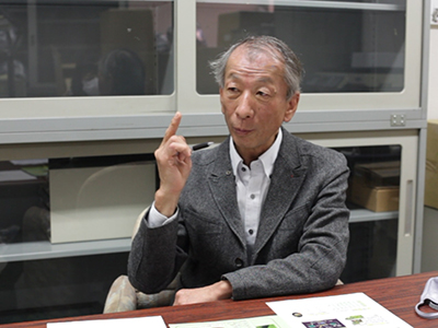 放任茶園の今後の活用方法 静岡の茶園 里山を守るために出来る事