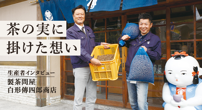 生産者インタビュー　茶の実油