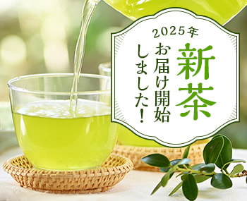 新茶特集