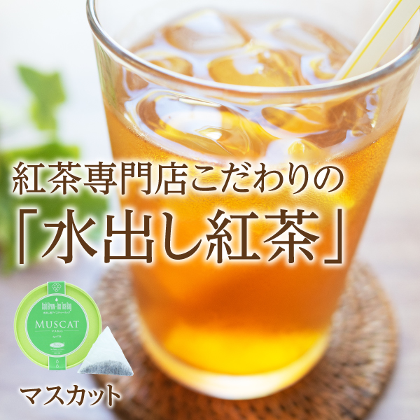 ティーライフ 水出しアイスティーバッグ マスカット