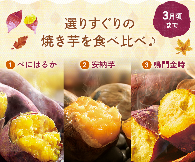 【3月頃まで】選りすぐりの焼き芋を食べ比べ♪　べにはるか/安納芋/鳴門金時