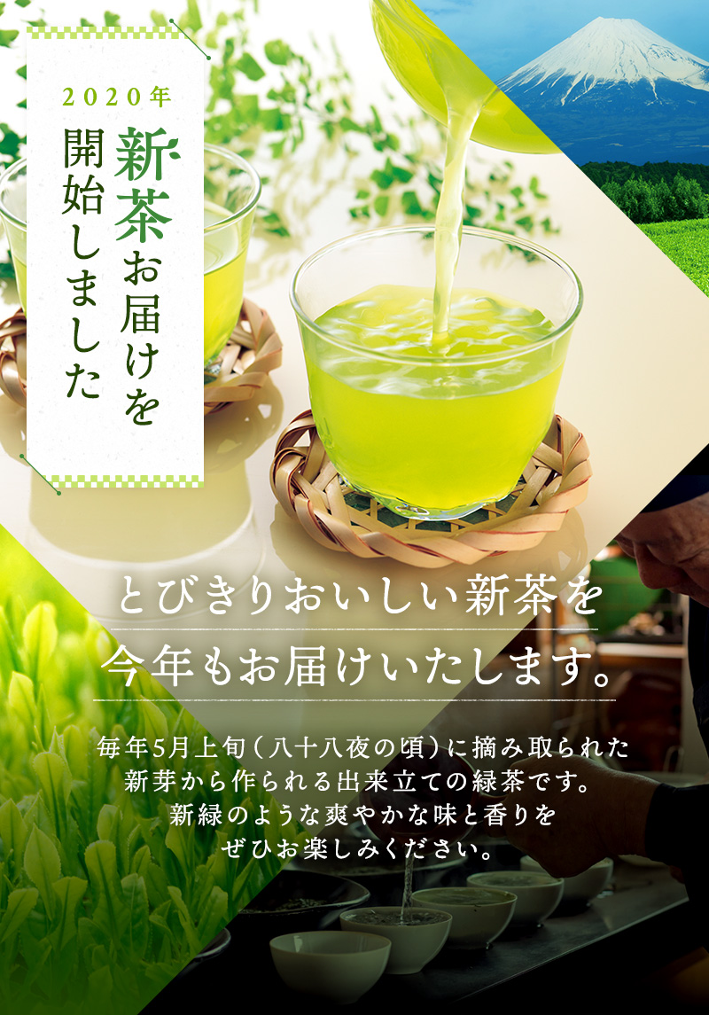 2020年新茶お届けを開始しました