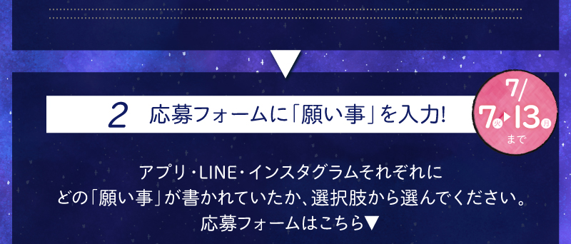 2.応募フォームに「願い事」を入力！