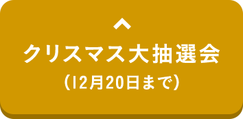 クリスマス大抽選会