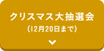 クリスマス大抽選会
