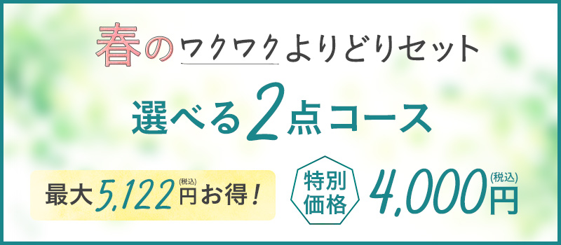 選べる2点コース