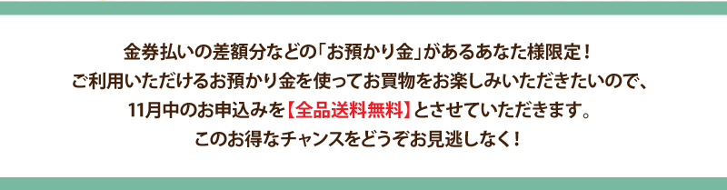 キャンペーン期間中のお買物は【全品送料無料】
