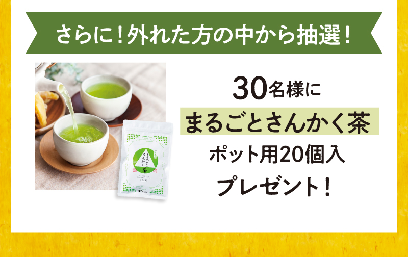 さらに！外れた方の中から抽選！30名様に「まるごとさんかく茶ポット用20個入」プレゼント！
