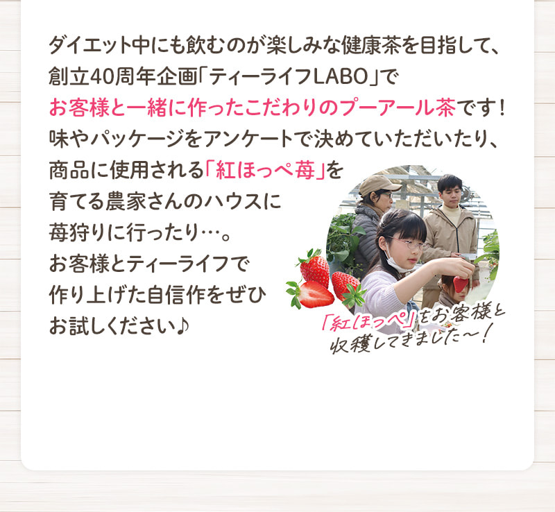 ダイエット中にも飲むのが楽しみな健康茶を目指して、創立40周年企画「ティーライフLABO」でお客様と一緒に作ったこだわりのプーアール茶です！味やパッケージをアンケートで決めていただいたり、商品に使用される「紅ほっぺ苺」を育てる農家さんのハウスに苺狩りに行ったり…。お客様とティーライフで作り上げた自信作をぜひお試しください♪