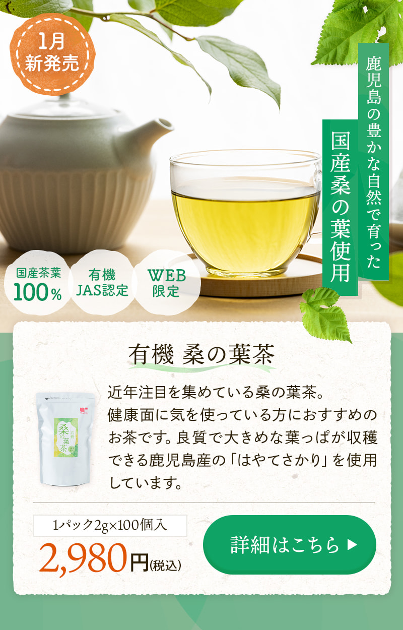 有機 桑の葉茶