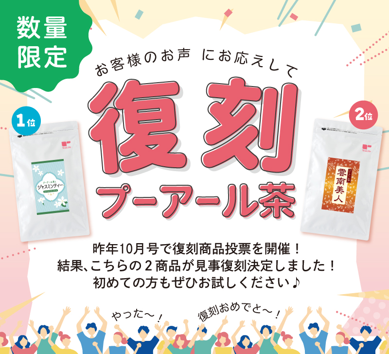 数量限定 復刻プーアール茶