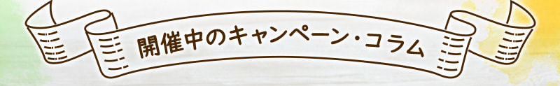 開催中のキャンペーン・コラム