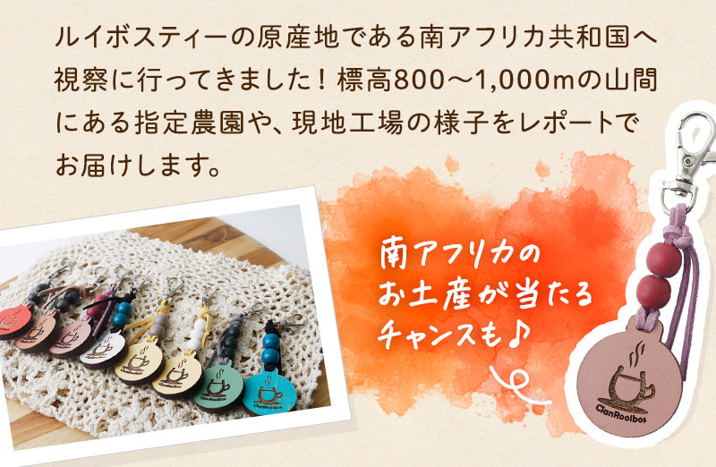 ルイボスティーの原産地である南アフリカ共和国へ視察に行ってきました！標高800～1,000mの山間にある指定農園や、現地工場の様子をレポートでお届けします。南アフリカのお土産が当たるチャンスも！