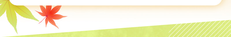 すぽ履きシューズはこちら