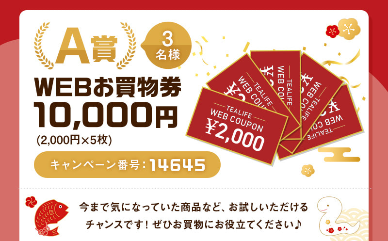 A賞 1名様 WEBお買物券10,000円（2,000円×5枚） キャンペーン番号：14645 　今まで気になっていた商品など、お試しいただけるチャンスです！ぜひお買物にお役立てください♪