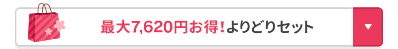 最大7,620円お得！よりどりセット