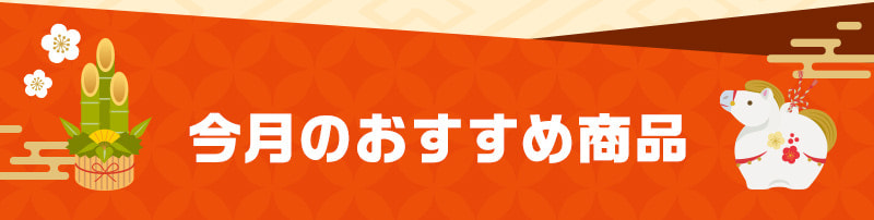 今月のおすすめ商品