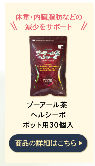 プーアール茶 ヘルシーボ ポット用30個入