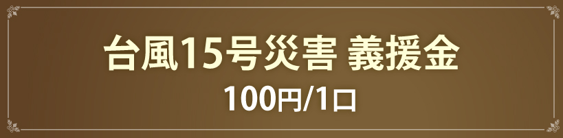 台風15号　義援金100円/1口