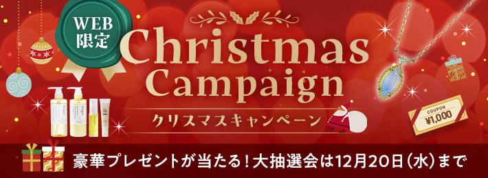 【WEB限定】クリスマスキャンペーン