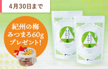 まるごとさんかく茶100個入2袋【みつまろプレゼント】