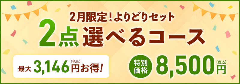 2月限定！よりどりセット2点選べるコース