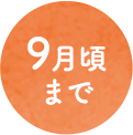 9月頃まで