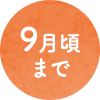 9月頃まで