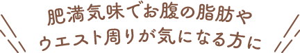 肥満気味でお腹の脂肪やウエスト周りが気になる方に