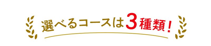選べるコースは3種類！