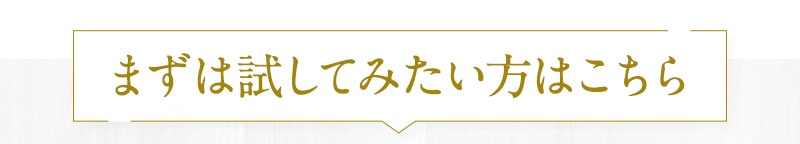 まずは試してみたい方はこちら