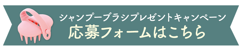 応募フォーム