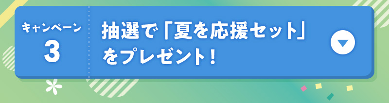 キャンペーン3 抽選で「夏を応援セット」をプレゼント！
