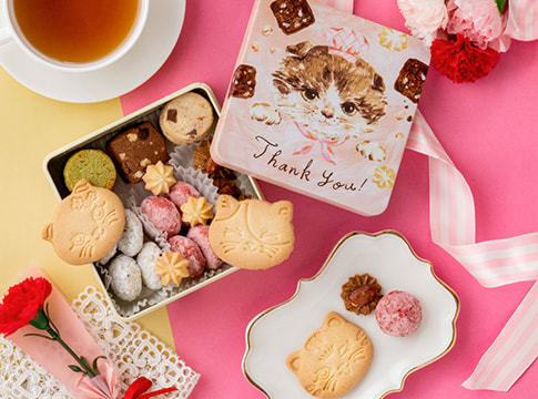 こねこのこねこねクッキー＋贅沢はちみつ紅茶セット