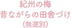 紀州の梅 昔ながらの田舎づけ（無選別）