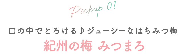 01 口の中でとろける♪ジューシーなはちみつ梅　紀州の梅 みつまろ