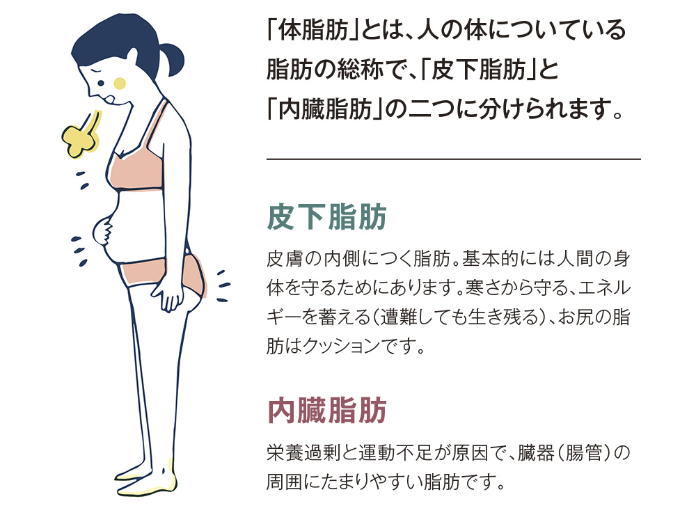 「体脂肪」とは、人の体についている
脂肪の総称で、「皮下脂肪」と「内臓脂肪」の二つに分けられます。