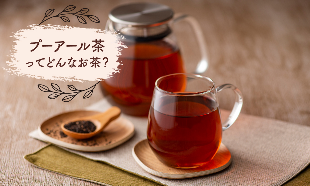 コラム202108:プーアール茶ってどんなお茶? | お茶の通販
