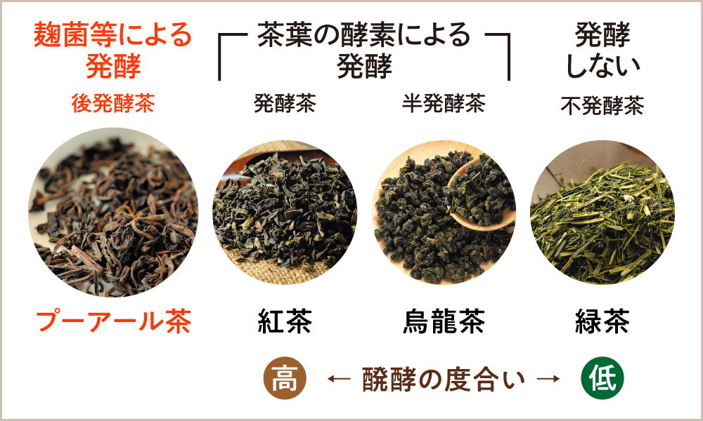 茶葉の発酵
