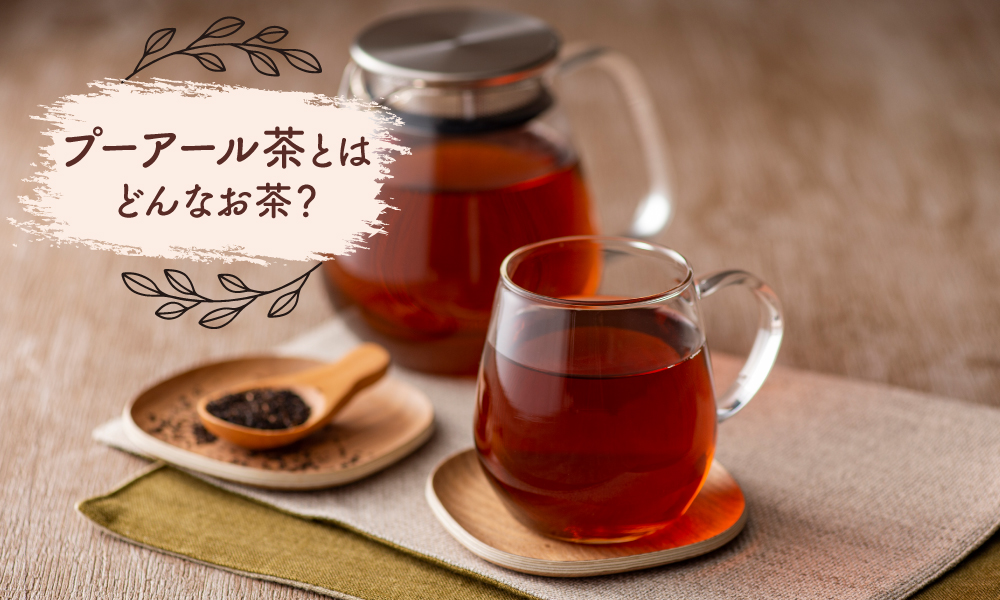 プーアール茶とはどんなお茶？