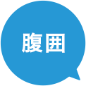 腹囲