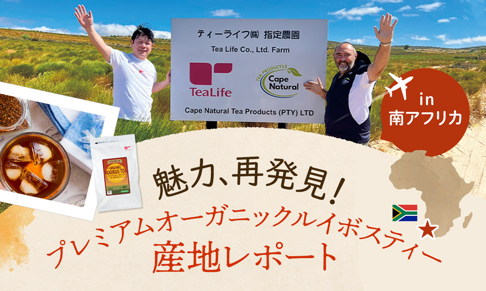 インタビュー