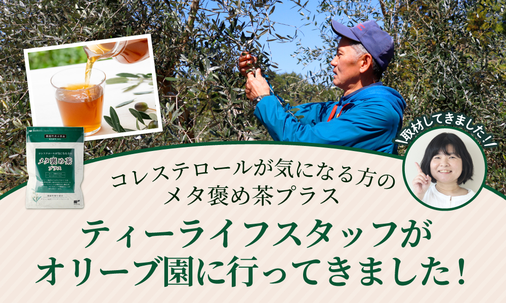 コレステロールが気になる方のメタ褒め茶プラス ティーライフスタッフがオリーブ園に行ってきました！