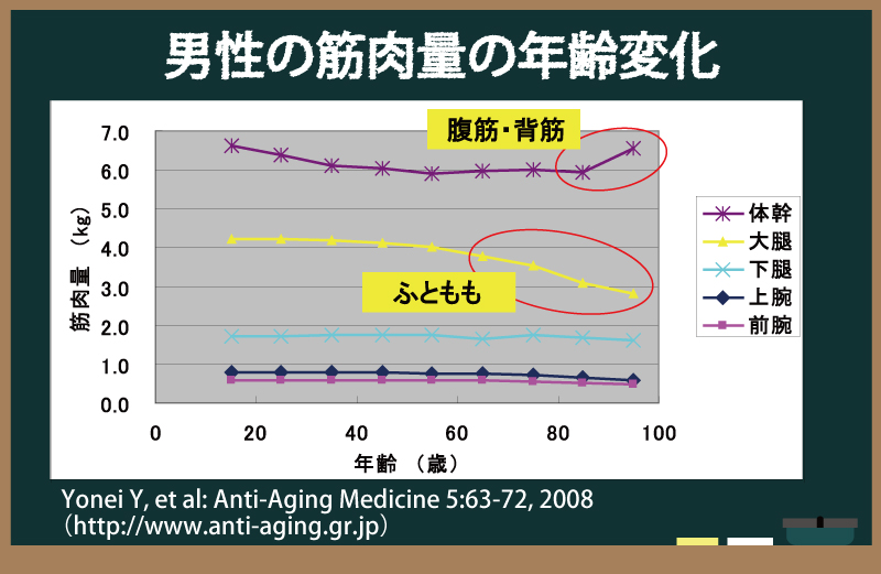 男性の筋肉量の年齢変化