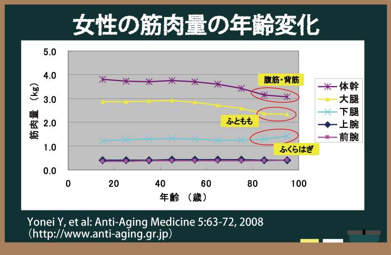 女性の筋肉量の年齢変化